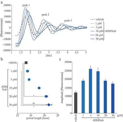 Figure 1. PER2::LUC expression rhythm effects on MEFs. (A) Representative de-trended data for cells treated with 0.1% DMSO as a vehicle or with 4DMNob (1–30 μM). (B) Effect of each treatment on the period length of the rhythmic PER2::LUC expression. (C) Effect of each treatment on PER2::LUC bioluminescence amplitude of peak 1. Data are presented as means ± SEM (n = 4). * p < 0.05, versus vehicle (one-way ANOVA with Tukey’s multiple comparison test). # p < 0.05, ## p < 0.01 (Kruskal–Wallis test with Dunn’s multiple comparison test).