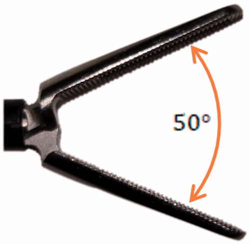 Figure 4. Default open angle of Johann type forceps.