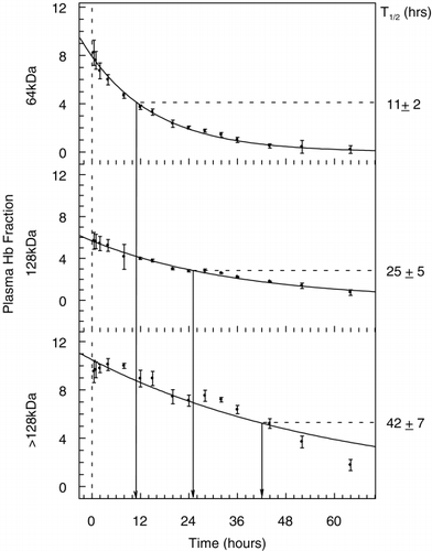 Figure 2. Plasma clearance and half‐lives (T1/2) of the different hemoglobin fractions that make up Hb raffimer as determined by size exclusion chromatography under dissociating conditions. The disappearance of the 64 kDa fraction (tetramer) is shown in the top panel, the 128 kDa fraction in middle panel, and the fraction composed of all molecular weight species > 128 kDa in the bottom panel. All values are shown as mean ± SD for all animals.