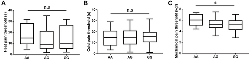 Figure 3 The pain thresholds in genotypes of rs3745367 before surgery. (A) The heat pain threshold was not significantly different among the AA, AG and GG genotypes. (B) The cold pain threshold was not significantly different among the AA, AG and GG genotypes. (C) The mechanical pain threshold was significantly different among the three genotypes. *One-way ANOVA, P< 0.05.