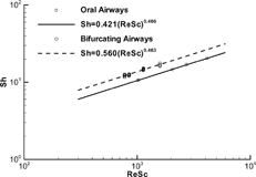 FIG. 6 Regional Sherwood number (Sh) versus the product of Re and Sc for the human upper airway model.