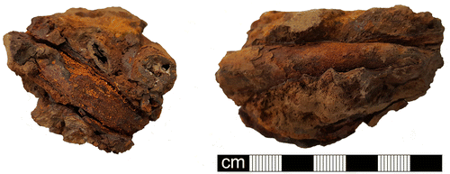 fig 5 The iron agglomeration containing at least three spear butts, visible in the photograph, while the ring is partially visible in the photograph and fully visible in X-ray (not shown). Photograph by Rob Collins.