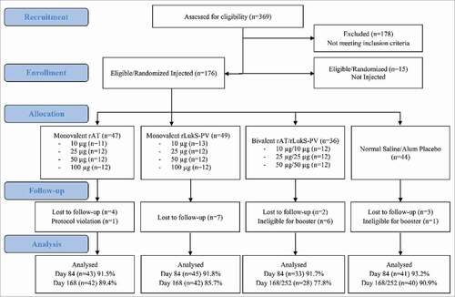 Figure 1. Flow diagram of subject enrollment and completion. Subjects were ineligible to receive second injection if they experienced a grade 3 adverse event or reactogenicity event after the first injection (all events determined probably unrelated to the first injection). For subjects in the 50 µg bivalent cohort (active vaccine, saline placebo, or alum placebo recipients) who received a second injection, the follow-up phone call and study completion occurred on Day 252.