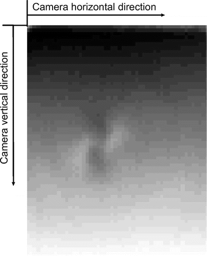 Figure 3 Linear greyscale image of the phase distribution measured across a notionally uniform scene. The spiral-shaped object is an artefact unrelated to the scan delay and can be ignored.