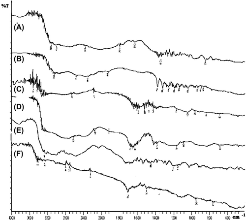 Figure 3. FT-IR spectra of (A) Acyclovir, (B) Cholestyramine, (C) Sodium Alginate, (D) Carbopol, (E) DRC2, and (F) Formulation.