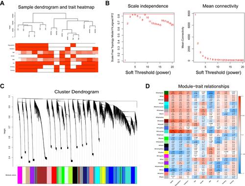 Figure 4 WGCNA. (A) Sample dendrogram and trait heatmap. (B) Analysis of the scale-free fit index for various soft-thresholding powers (left) and the mean connectivity for various soft-thresholding powers (right). (C) Clustering dendrogram of genes for GSE182974, together with the assigned module colors. (D) The module–trait association analysis revealed the highest association between the turquoise module and NERD.