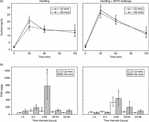 Figure 2.  Response after handling without and with ACTH injection at time = 0 given as mean ± SEM concentration of (a) plasma cortisol and (b) FCM in low (LS, n = 12) and high (HS, n = 12) stereotypic mink females. Plasma cortisol increased above baseline, with no difference between LS and HS mink (F-test, P>0.53). In FCM, HS mink reacted more than LS mink during 4–20 h (F-test, P = 0.001) after handling, but not after ACTH challenge (F-test, P = 0.74). Concentrations significantly greater than baseline are marked with asterisks.