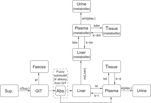 Figure 1. Compartmentation of paracetamol pharmacokinetics. The symbols have the following meaning: Sup. – suppository compartment, GIT – compartment of gastro-intestinal tract, Faeces – cumulative compartment of faeces, Liver – liver compartment for drug, Plasma – plasma compartment for drug, Urine – urine compartment for drug, Tissue – tissue compartment for drug, Liver (metabolite) – liver compartment for metabolite, Plasma (metabolite) – plasma compartment for metabolite, Tissue (metabolite) – tissue compartment for metabolite, Urine (metabolite) – urine compartment for metabolite, r(sup.) – non-linear drug release from suppository, kf – exchange rate from GIT to Faeces, m(liver) - saturable metabolism, kl, k-l – exchange rates between Liver and Plasma compartments for drug, e(plas.) – saturable elimination of drug, kd, k-d – exchange rates between Plasma and Tissue compartment for drug, kdm, k-dm – exchange rates between Plasma and Tissue compartment for metabolite, klm, k-lm – exchange rates between Liver and Plasma compartments for metabolite, em (plas.) – saturable elimination of metabolite.