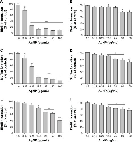 Figure 10 Effect of gold and silver nanoparticles on bacterial biofilm formation.Notes: P. aeruginosa (A and B), E. coli (C and D) and S. epidermidis (E and F). About 24 h biofilms were formed on cover glass. The biofilms were washed with sterile water and stained with 0.1% of crystal violet for 20 min. Excess crystal violet was washed with sterile water. The biofilm-staining crystal violet was dissolved with absolute ethanol, and OD was measured at 590 nm. Data are presented as mean ± SD error. *P<0.005, **P<0.0005 and ***P<0.0001.Abbreviations: AgNP, silver nanoparticle; AuNP, gold nanoparticle; E. coli, Escherichia coli; OD, optical density; P. aeruginosa, Pseudomonas aeruginosa; SD, standard deviation; S. epidermidis, Staphylococcus epidermidis.