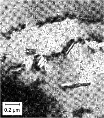 Figure 4. Precipitation of fine platelets of ferrite from cementite. Reproduced with permission of Taylor and Francis from [Citation19].
