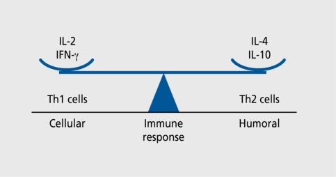 Figure 1. The balance between Th1 (cell-mediated) and Th2 (humoral) response of the adaptive (specific) immune system. IL, interleukin; IFN-γ, interferon gamma; Th1 , T helper 1; Th2, T helper 2.