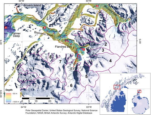 Fig. 1  Map of Flandres Bay, located in the western AP. Insets show the location of the AP with respect to Antarctica and the location of the study area. Seafloor bathymetry mapped using multibeam swath bathymetry data from cruises NBP0201, NBP0502, NBP0602A, NBP0703 and NBP1001 to the AP. Red circles represent core locations. Glacial drainage basins of glaciers are outlined in purple (from Cook et al. Citation2014). Briand Fjord and Etienne Fjord are abbreviated as BF and EF. Numbers show glaciers draining into Flandres Bay: 1, Vogel Glacier; 2, Bolton Glacier; 3, Sayce Glacier; 4, Goodwin Glacier; 5, Archer Glacier; 6, Talbot Glacier; 7, Niepce Glacier; 8, unnamed glacier; letters in red squares show 210Pb sedimentation rates: a, 1.71 mm/yr; b, 1.17 mm/yr; c, 2.8 mm/yr; d, 0.65 mm/yr (Isla et al. Citation2002; Isla et al. Citation2004; Boldt et al. Citation2013).