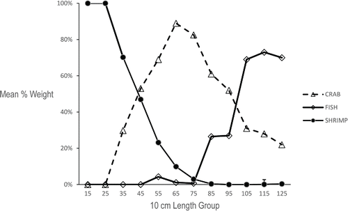 FIGURE 4. Percent by weight contribution of the major prey categories when Barndoor Skate are pooled into 10-cm length-groups.