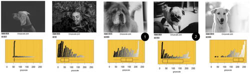 Fig. 6 Example of a conjectured “line up” of photo-plot pairs.