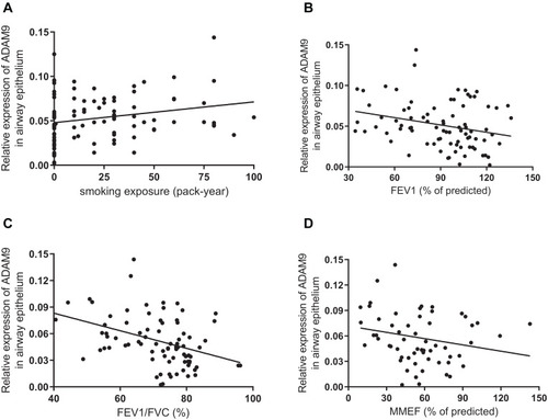Figure 3 Scatterplots for correlation between airway epithelial ADAM9 expression and subjects’ characteristics. Relative expression of airway epithelial ADAM9 with (A) smoking history and (B–D) airflow obstruction, including (B) FEV1% of predicted, (C) FEV1/FVC, and (D) MMEF% of predicted.