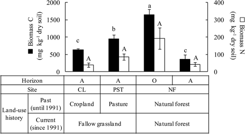 Figure 2. Microbial biomass carbon (C) (closed bars) and nitrogen (N) (opened bars) in soils with different land-use histories, located in the Arkaim. Error bars show standard deviations. Different lower-case letters are used for statistical differences in biomass C, and different capital letters are for biomass N [Tukey's honestly significant difference (HSD) tests, p < 0.05, n = 3].