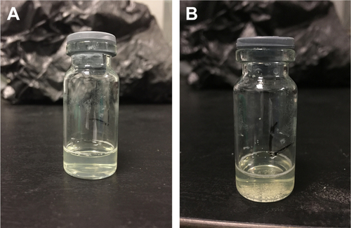 Figure S2 Appearance of MX nanosuspension without BSA coating before (A) and after (B) 24 h of placement.Abbreviations: BSA, bovine serum albumin; MX, meloxicam.