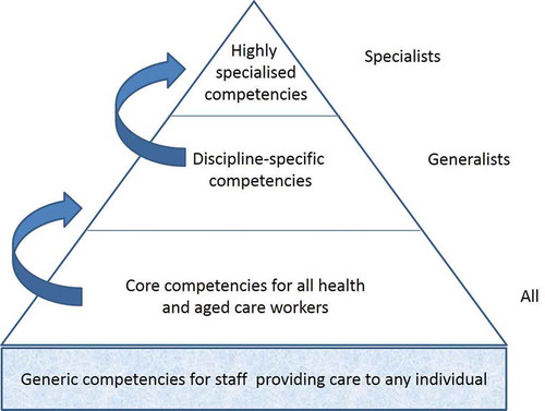 Figure 3. Hierarchical competencies for the care of older people (adapted from Walsh et al., Citation2012, p. 46)