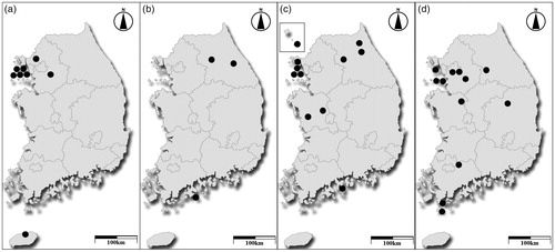 Figure 1. Distribution maps of Macrolepiota species in Korea. (a); Macrolepiota detersa, (b); M. mastoidea, (c); M. procera, and (d); M. umbonata.