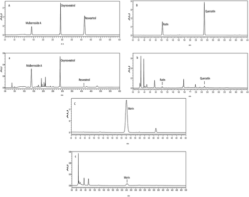 Figure 5. HPLC chromatograms of the six polyphenol monomers. A. HPLC chromatograms of oxyresveratrol, resveratrol, and mulberroside A standards. a. HPLC chromatograms of oxyresveratrol, resveratrol, and mulberroside A in Morus alba L. twig extract. B. HPLC chromatograms of rutin and quercetin standards. b. HPLC chromatograms of rutin and quercetin in the Morus alba L. twig extract. C. HPLC chromatograms of the morin standard. c. HPLC chromatograms of morin in the Morus alba L. twig extract.