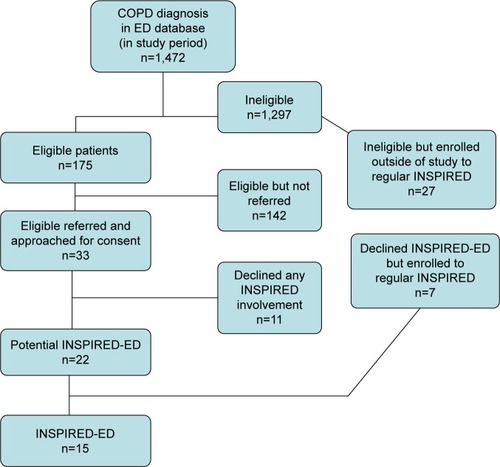 Figure 1 The INSPIRED-ED study flow diagram.