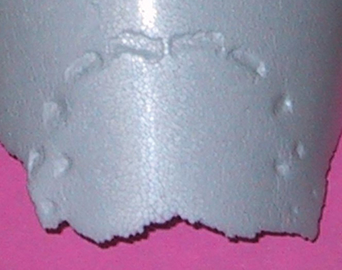 Figure 1. Styrofoam impression from Ray Krone