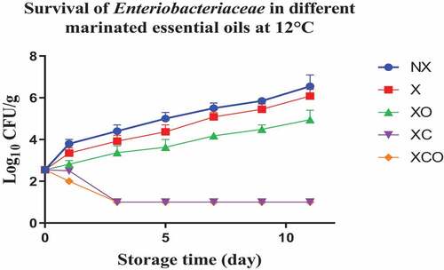Figure 8. Population increase of Enterobacteriaceae (log10 CFU/g ± SEM) in different marinated essential oils samples after storage for 0, 1, 3, 5, 7, 9, and 11 days at 12°C. NX-Non marinated, X- Marinated, XO- Marinated +Oregano oil, XC- Marinated +Citrox, XCO- Marinated + Citrox+ Oregano oil.