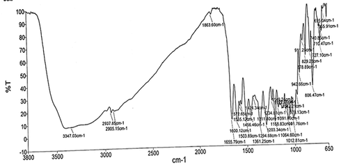 Figure 5. FTIR spectra of isolated compound showing characteristic peak of flavonoids