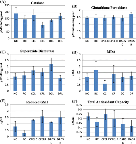 Figure 7. The antioxidant and lipid peroxidation parameters of control, sublethal dose radiation control, and papaya and DADS pretreatment prior irradiation groups.