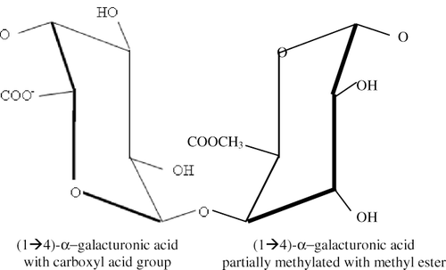 Figure 7 Pectin chemical structure.