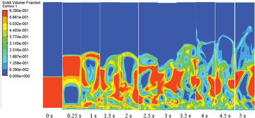 Figure 5. The contour of solid volume fraction at 360 µm particle size with bed height 0.147 m at a speed of 0.92 m/s