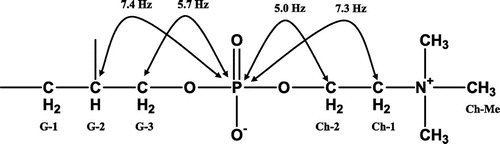 Fig. 6. The C (Carbon)-P (Phosphorus) coupling of compound A.