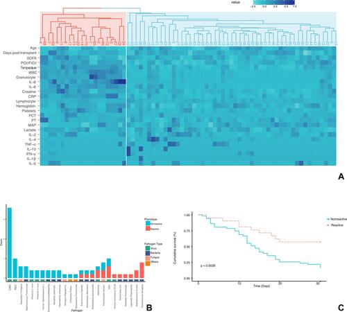 Figure 1 Identification and clinical relevance phenotypes (A) Heatmap of phenotypes. Rows: variables. Columns: patients. First row: dendrogram in red: “reactive phenotype”, dendrogram in blue: “nonreactive phenotype”. Heatmap: a higher value is marked in dark blue, while a lower value is marked in light blue. (B) Contribution of suspected pathogens to phenotypes. Viral pathogens contributed to a large proportion of the nonreactive phenotypes, while bacterial pathogens were more often identified in patients with the reactive phenotype. (C) Kaplan-Meier survival curve to 30 days for patients with reactive or nonreactive phenotype. Log-rank p = 0.0028.