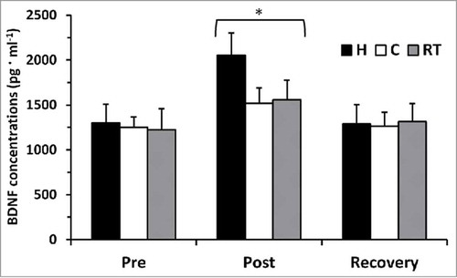 Figure 1. BDNF concentrations (pg·ml−1) at pre-exercise, post-exercise, and post-recovery time points for hot (H), cold (C), and moderate room temperature (RT) trials. *p < 0.05, main effect for post-exercise from pre-exercise and post-recovery.