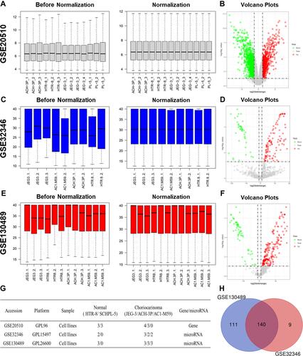 Figure 1 Identification of differentially expressed miRNAs (DEMs) in choriocarcinoma. The before and after normalization and volcano plots of GSE20510 (A and B), GSE32346 (C and D) and GSE130489 (E and F). Characteristics of mRNA and miRNA expression profiles of choriocarcinoma (G). Venn diagram based on the miRNA expression profile of choriocarcinoma (H).