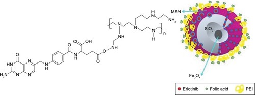 Figure 8 pH-sensitive biocompatible mesoporous magnetic nanoparticles labeled with folic acid as an efficient carrier for controlled anticancer drug delivery.Note: Data from Avedian et al.Citation114Abbreviations: MSN, mesoporous silica nanoparticle; PEI, polyethylenimine.