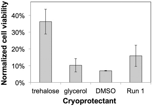 Figure 7. Comparative effect of cryoprotectants on the 7 day post-thaw cell viability of HEK cells microencapsulated in alginate. Alginate encapsulated cells were frozen with either 45% w/v trehalose, 10% w/v glycerol, or 10% w/v DMSO in DMEM, and compared to the post-thaw viability of microencapsulated cells minimally exposed to any CPA agent (Run #1). Cell viability for all the conditions were normalized against non-cryopreserved alginate-encapsulated HEK cells incubated in DMEM.