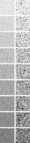 Figure S1 All binarized images used in the simulation study.Notes: Left: the binarized images obtained from simulation A. Right: the binarized images obtained from simulation B. LAA% of the two images in the same row was identical. For each row, LAA% increases by 5%.Abbreviation: LAA%, percentage of low-attenuation lung area.