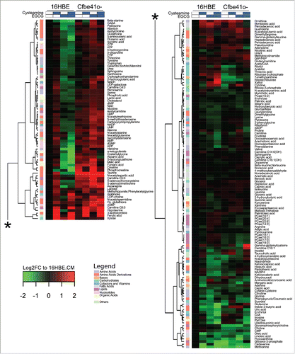 Figure 1. Heatmap visualization of metabolic profiling in 16HBE and Cfbe41o- cells. 16HBE and Cfbe41o- primary epithelial bronchial cell lines have been cultured overnight in absence or presence of 250 μM cysteamine and 100 μM epigallocatechin gallate (EGCG) alone or in combination. The heatmap depicts average levels of 198 metabolites detected by the combination of 3 analytical methods. Each cell corresponds to the treatment-group average abundancies (4–5 replicates) and both metabolites (rows) and conditions (columns) were clustered by the Ward method on the euclidean distance matrix. Metabolite's fold changes (FC) are shown in log2 scale as compared with their levels in 16HBE cells when cultured in complete medium (CM). Metabolites have been divided in 10 different subgroups as shown in the legend.