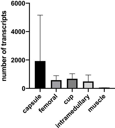 Figure 2 Gene expression of IL-8 in tissue samples. Tissue samples were collected intra-operatively in a standardized fashion (from the joint capsule; from the area of the femoral shaft and from the cup, as well as an intramedullary sample). Healthy muscle tissue served as control tissue. Gene expression analysis of IL-8 revealed significantly increased number of transcripts in all tissue samples when compared to muscle tissue (p<0.05; as calculated by Mann Whitney U-Test).