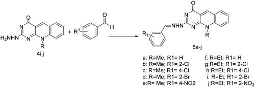 Scheme 2. General method for the preparation of 2[(E)-2-(substituted)benzylidenehydrazino]-10-alkyl-2-deoxo-5-deazaflavins (5a–j). Reagent and conditions: aromatic aldehyde, EtOH, reflux, 2–3 h.