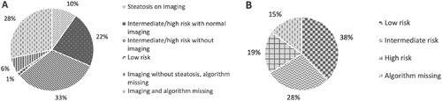 Figure 4. Panel A shows an assessment of steatosis in 350 participants with type 2 diabetes mellitus, imaging and algorithms compiled. Panel B shows an assessment of advanced fibrosis in 191 of the participants, a compilation of algorithms for advanced fibrosis. Note: Panel A: Compilation of NAFLD results for imaging and risk assessment by steatosis algorithms NAFLD-LFS, HSI, FLI and NAFLD Ridge Score for all 350 study participants. Panel B: Compilation of risk assessment with algorithms for advanced fibrosis FIB-4 and NFS for patients with known steatosis or intermediate to high risk for steatosis according to steatosis algorithm. Low risk in panels A and B is defined as low risk in all calculable algorithms, intermediate risk is defined as intermediate risk in 1–4 algorithms and none high risk assessments and high risk is defined as high risk in 1–4 algorithms. NAFLD: non-alcoholic fatty liver disease; NAFLD-LFS: Non-Alcoholic Fatty Liver Disease Liver Fat Score; HSI: Hepatic Steatosis Index; FLI: Fatty Liver Index; FIB-4: fibrosis-4; NFS: Non-Alcoholic Fatty Liver Disease Fibrosis Score.