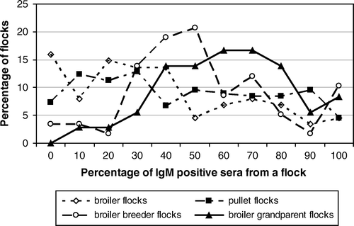 Figure 1.  Overview of the infectious bronchitis IgM responses in each flock after IBV vaccination at approximately 2 weeks of age in 360 broiler, pullet, broiler breeder and broiler grandparent flocks. x axis: percentage of sera from a flock that was positive in the α-IBV IgM ELISA. y axis: percentage of flocks with a certain percentage of positive sera.