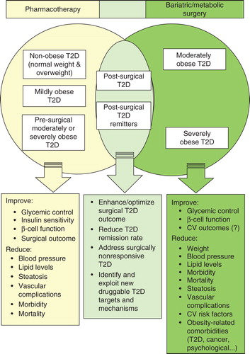 Figure 1. A pharmaco-surgical interactome for T2D management. The Venn diagram represents the principal patient populations/beneficial outcomes associated with medical T2D management with insulin and synthetic pharmacotherapeutics (left); surgical T2D management with metabolic/bariatric procedural intervention (right); and a synergistic combination of the two T2D management approaches (center). Treatment impact may vary with specific pharmacotherapeutic regimen and surgical procedure.