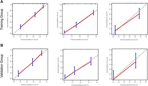 Figure 6 Calibration curves for the nomogram in the training and validation cohorts. 1-, 3-, and 5-year calibration curves (A) for the CSS nomogram in the training cohort of patients with LCNEC (bootstrap = 1000 repetitions). 1-, 3-, and 5-year calibration curves (B) for the CSS nomogram in the validation cohort of patients with LCNEC (bootstrap = 1000 repetitions).