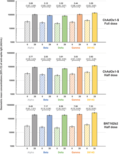 Figure 5. Geometric mean concentrations (95% CI) of anti-spike IgG antibodies for the indicated SARS-CoV-2 variants in the three study groups before and after vaccination. Values above columns show geometric mean-fold rises (GMFR) with 95% CI) from Day 0 to Day 28.