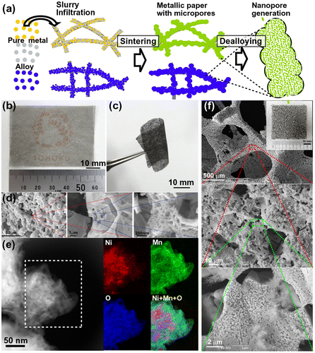 Figure 10. (a) A schematic describing the creation of a hierarchical porous structure by sintering a slurry of metal powder mixed with water-soluble binder on a paper sheet. (b) A 50 μm thick Ni30Mn70 alloy sheet (the logo of Tohoku University is located on the reverse side). (c) A bendable thin dealloyed Ni30Mn70 alloy sheet. (d) SEM images of the Ni30Mn70 microporous nanostructure obtained after dealloying. (e) STEM image and chemical maps of the selected area containing the distributions of Ni (red), Mn (green), and O (blue) elements. (f) SEM images of the Cu15Ni10Fe5Mn70 microporous metal alloy (shown in the inset) obtained after dealloying. (Panels (a)–(e) are adapted from Ref. [Citation104]. Copyright Fujita et al. (Citation2015)).
