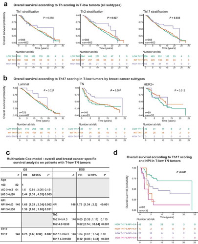 Figure 4. A high Th17 metagene is associated with improved overall survival in T-low triple negative breast cancer.(a) Kaplan-Meier overall survival curves for T-low tumors stratified by the different Th scores (n = 988). Difference in survival was assessed by log rank test. (b) Kaplan-Meier overall survival curves for T-low tumors depending on the breast cancer subtype and stratified by the Th17 score (Luminal n = 753; TN n = 146; HER2 + n = 89). Difference in survival was assessed by log rank test. (c) Multivariate cox modeling was used to assess relative contributions of the Th scores and clinical variables to the overall and BC-specific survival of T-low TN patients (n = 146). All explanatory variables included in the multivariate model were prior found significant by univariate analysis (Supplementary Table S3). (d) Kaplan-Meier overall survival curves for T-low TN tumors and stratified by the interaction of the Th17-low/Th17-high with the NPI (n = 82). Difference was assessed by log rank test. T-low tumors: T cell non-inflamed tumors; TN: Triple negative; HER2+: Her2 amplified; BC: Breast cancer; NPI: Nottingham prognostic index; HR: Hazard ratio; CI 95%: 95% Confidence interval; OS: overall survival; DSS: Disease-specific survival.