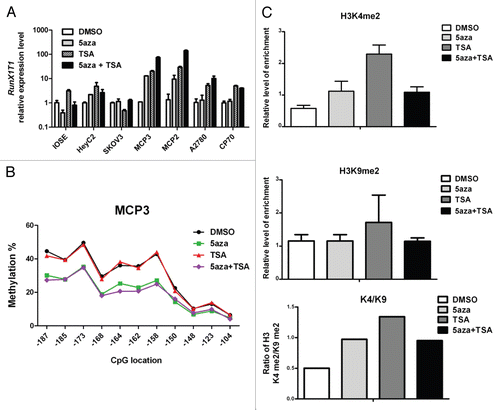 Figure 4 Epigenetic treatments restore RunX1T1 expression by reversing epigenetic status of RunX1T1 promoter. (A) RunX1T1 expression in ovarian cancer cell lines after epigenetic treament. IOSE cell and various ovarian cancer cell lines treated with 5-aza-2′-deoxycytidine (5aza) and/or trichostatin A (TSA) were examined for RunX1T1 expression by RT-PCR. Each error bar represents standard deviation calculated from triplicates. (B) Bisulphite pyrosequencing analysis of CpG sites from −187 to −104 (Fig. 2B) in MCP 3 cells treated with 5aza and/or TSA. (C) ChIP PCR were performed with antibodies directed against dimethyl-H3-K4 (H3K4me2) and dimethyl-H3-K9 (H3K9me2) in region R2 (Fig. 3) of RunX1T1 promoter in MCP 3 cells treated with 5aza and/or TSA. The relative binding of each antibody to the corresponding region was measured by the amount ChIP DNA against a standard curve generated from input DNA. Each error bar represents standard deviation calculated from triplicates. The ratio between H3K4me2 versus H3K9me2 (K4/K9) of each treatment are shown (lower part).