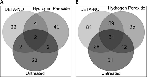 Fig. 3 Proteins from each treatment condition that were found to have a differential abundance, as well as the overlap of these proteins between all conditionsa 30, 48, and 29 proteins from DETA-NO, hydrogen peroxide, and untreated, respectively, were assessed for the overlap in protein identity. Of these, 22, 40, and 23 proteins were found to be unique to DETA-NO, H2O2, and untreated conditions, respectively. b 177, 117, and 130 proteins belonging to the DETA-NO, H2O2, and untreated conditions were assessed for overlap. It was found that 81, 35, and 61 proteins were unique to DETA-NO, H2O2, and untreated conditions, respectively